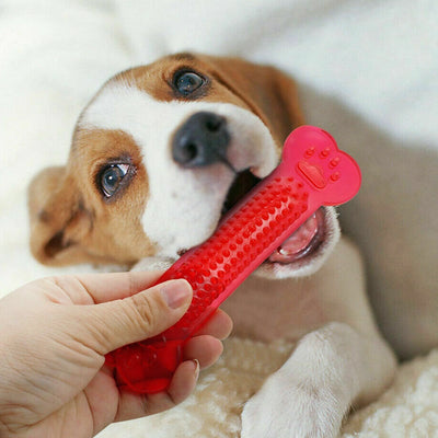 Flat bone chew toy for dogs
