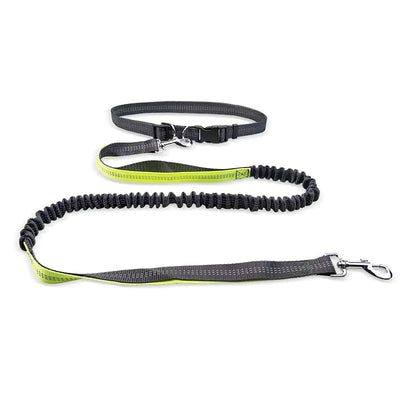 Dog walking belt with detachable shockproof leash