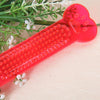 Flat bone chew toy for dogs