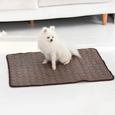 Cooling ice silk pet mat for summer