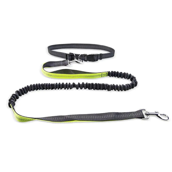 Dog walking belt with detachable shockproof leash