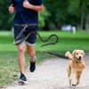 Dog walking belt with detachable shockproof leash