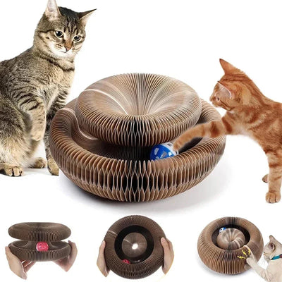 Kurlz Magic Paws - Buy 1 Get 1 Free