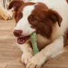 Dog toothbrush chew toy