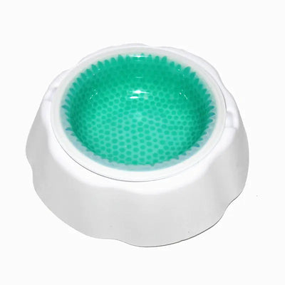 Summer cooling pet bowl with condensation beads
