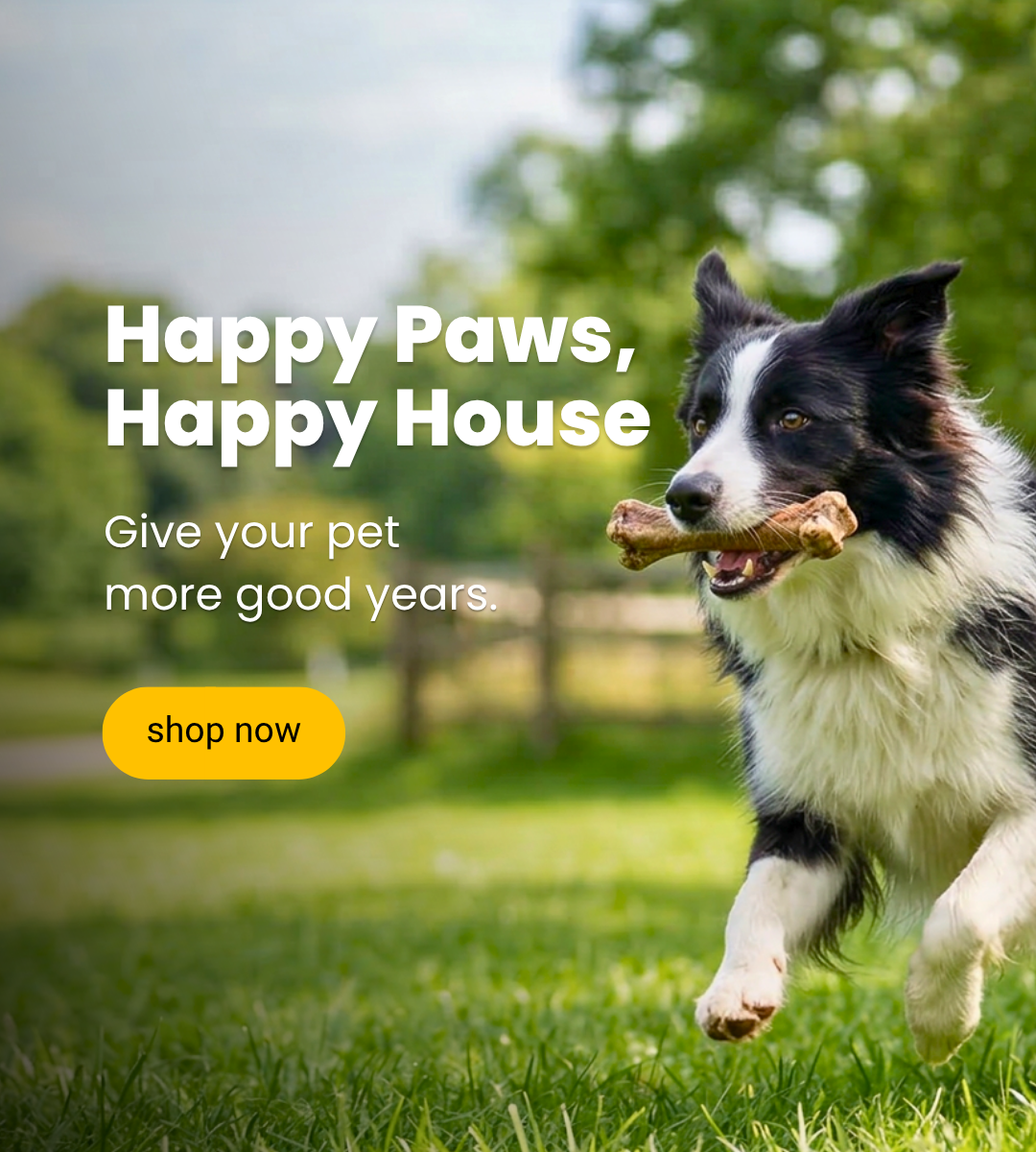 Happy Paws, Happy House